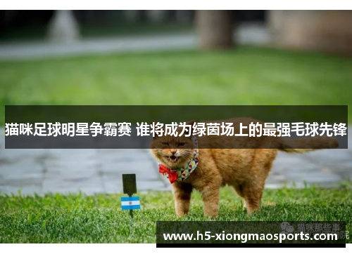 猫咪足球明星争霸赛 谁将成为绿茵场上的最强毛球先锋