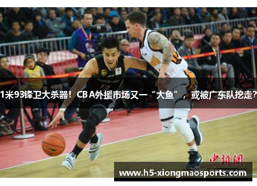 1米93锋卫大杀器！CBA外援市场又一“大鱼”，或被广东队挖走？