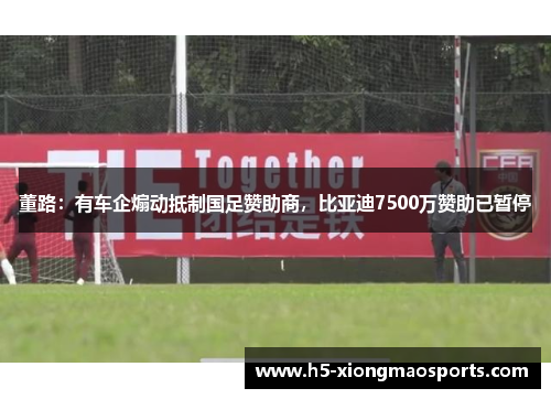 董路：有车企煽动抵制国足赞助商，比亚迪7500万赞助已暂停